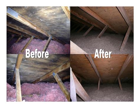 Attic mold removal. Things To Know About Attic mold removal. 